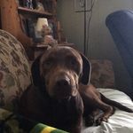 Ryan Daughtry - @ryandaughtry55 - Instagram