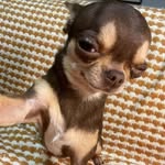 Ryan Davila - @10r80_ryan - Instagram