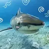 Ryan Davila - @ryan.davila18 - TikTok