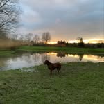 Rizzo - @ryan_deane_ - Instagram