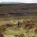 Ryan Deane - @ryan_poetry_and_stuff - Instagram