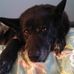 Ryan Deasy - Facebook