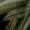 Ryan Deberr - @ryandeberry895 - TikTok