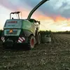 Ryan DeCoste582 - @strokesighting - TikTok