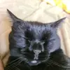 Ryan Deeb877 - @ryandeeb1 - TikTok