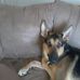 Ryan Deitch - Facebook
