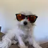 Ryan Delatte826 - @andthatshowigot - TikTok
