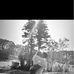 Ryan DeMarino - Facebook