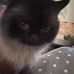 Ryan Demers - Facebook
