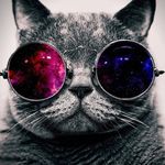 Ryan Denham - @ryan13_503 - Instagram