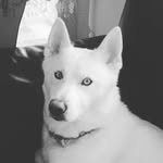 Ryan Denner - @ryandenner0 - Instagram