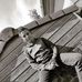 Ryan Deroo - Facebook