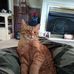 Ryan Deuel - Facebook