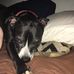Ryan Deutsch - Facebook