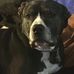 Ryan Deutsch - Facebook