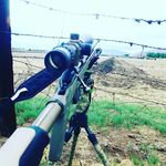 Ryan DeWitt - @dew_itt_outdoors - Instagram