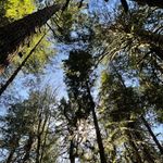 Ryan Diez - @ryandiez - Instagram