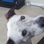 Ryan Diez - @ryan.diez - Instagram