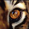 Ryan Diez - @louisiana.4 - TikTok