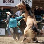 Ryan Dillman - @dillmanr1210 - Instagram