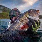Ryan Dillman - @dillhombre - Instagram