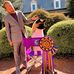 Ryan Dillman - Facebook