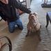 Ryan Dingman - Facebook