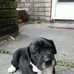 Ryan Dipietro - Facebook