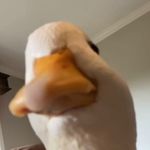 Ryan Dowis - @ryan_dowis - Instagram