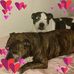 Ryan Downs - Facebook