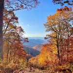 Ryan Downard - @ryan_downard - Instagram