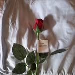 Ryan Downard - @rdownard74 - Instagram