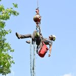 Ryan Downey - @downey.tree - Instagram