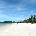 Ryan Doyle - @ryan.p.doyle - Instagram