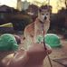 Ryan Drees - Facebook