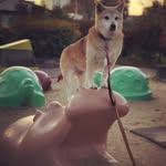 Ryan Drees - @drees.ryan - Instagram