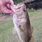 Ryan Dreyer - Facebook
