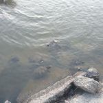 Ryan Driggers - @ryand0825 - Instagram
