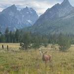 Ryan Duclos - @duclos2499 - Instagram