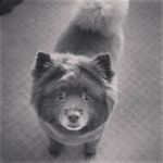 Ryan Dugger - @ryan_de_tulsa - Instagram