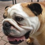 ryan dundas - @rcp_dundas - Instagram