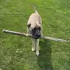 Ryan Dunkle - @ryan.dunkle8 - TikTok