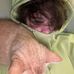 Ryan Duplechain - Facebook