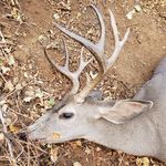 Ryan Durfee - @ryan.durfee - Instagram