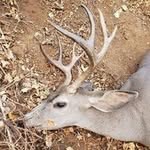 Ryan Durfee - @r.durfee44 - Instagram