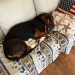 Ryan Durkee - @r.durkee81 - Instagram