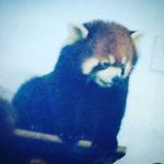 Ř.Đ. - @ryan_durocher_16_2022 - Instagram