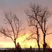 Ryan Dykstra - Facebook