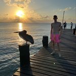 Ryan Eberle - @ryan.eberle1 - Instagram