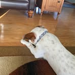 Ryan Eckel - Facebook